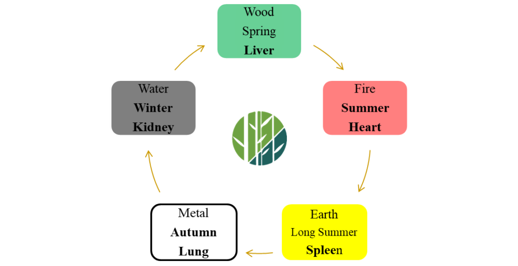 Five Elements diagram showing Metal, Autumn and Lung correspondence in Traditional Chinese Medicine